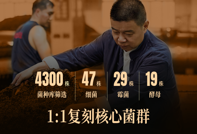 酱香密码配图