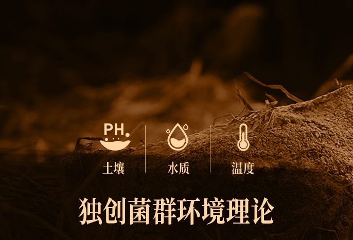 酱香密码配图